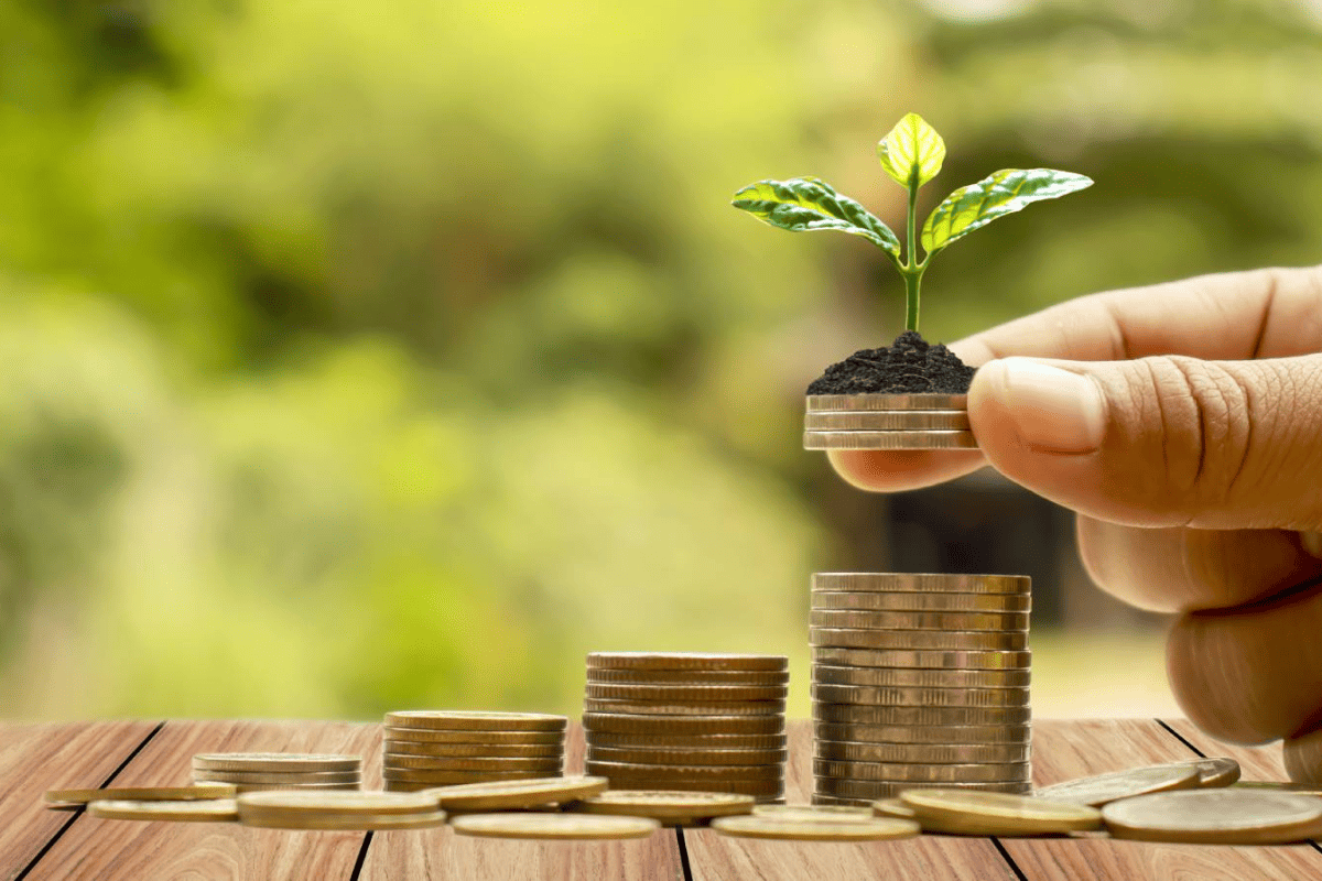 Socially Responsible Investing 101: Is It Possible? - Curio Wealth